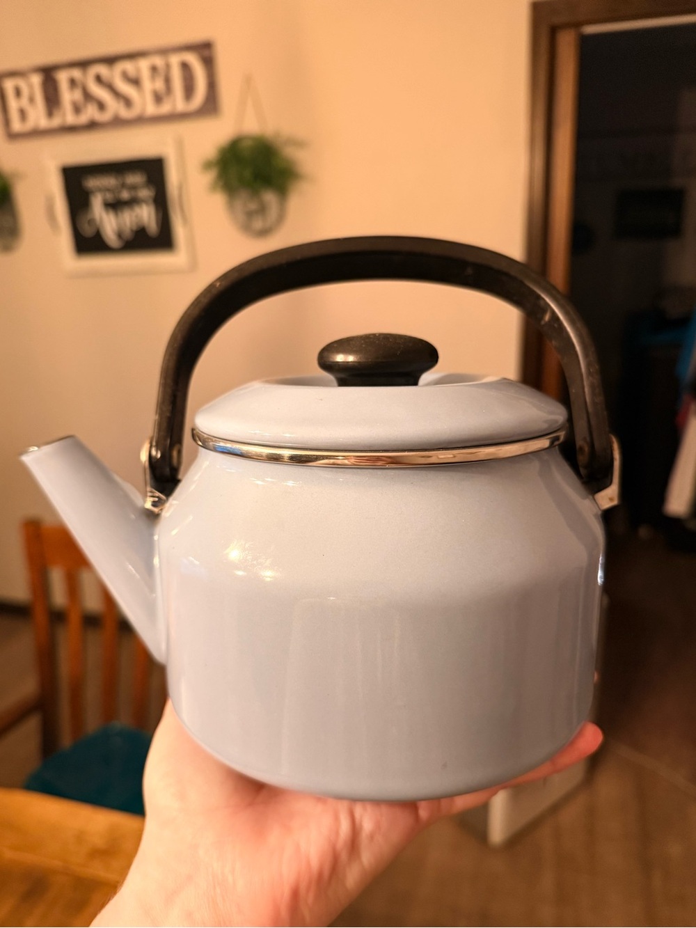 Siam Fujiware Classic Light Blue Enamel Teapot with Black Handle